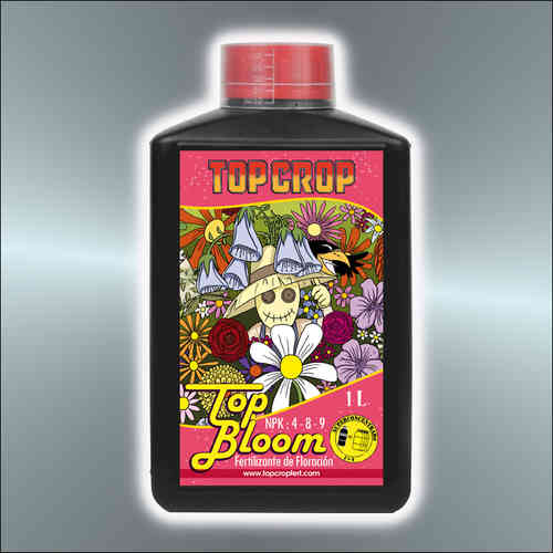 TOPCrop Top Bloom