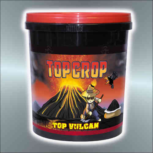 TOPCrop Top Vulcan