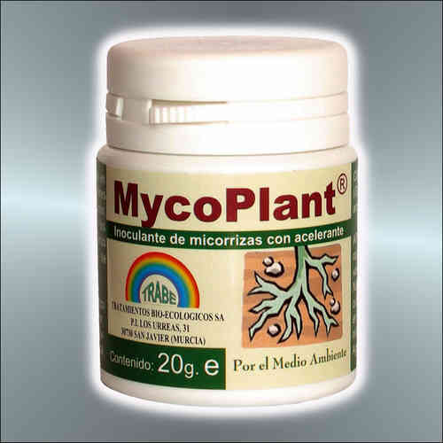 Trabe MycoPlant