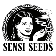 Sensi_Seeds_001