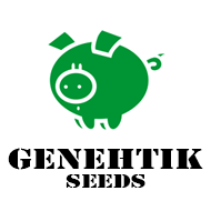Banner_Genehtik_Seeds_180x180